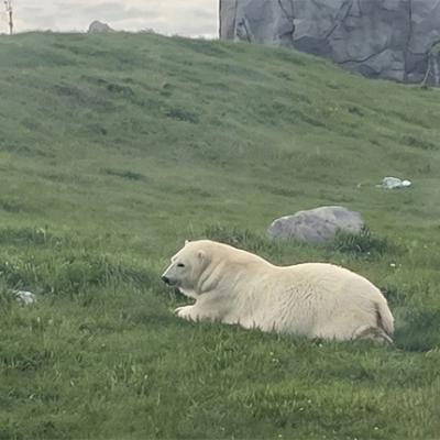Manitoba